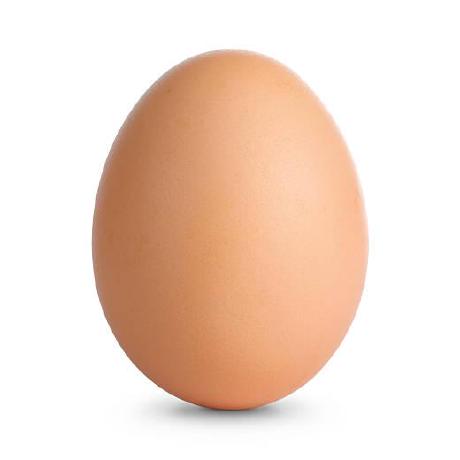 Egg White Albumen Protein Powder: Benefits Nutrition and Uses
