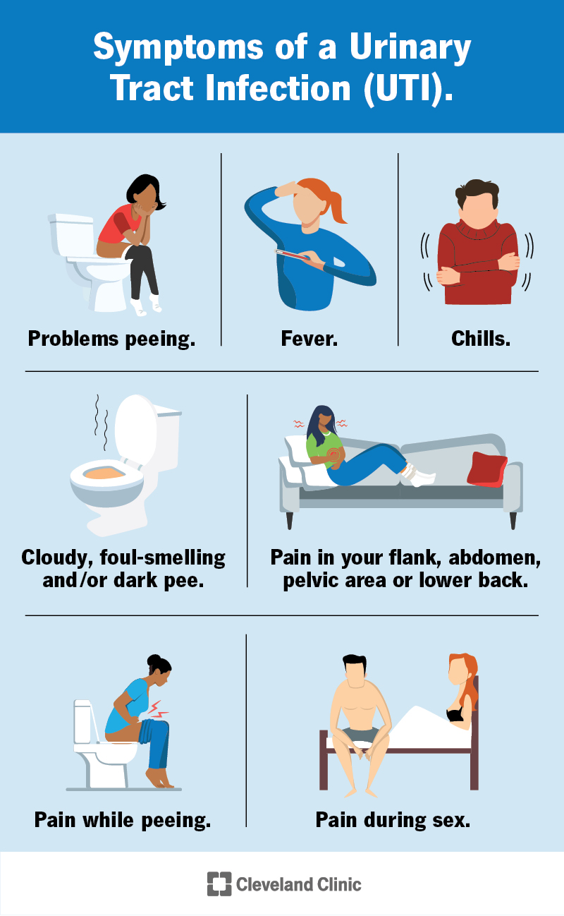 Bladder Infection and Bloating: Causes Symptoms and Treatment