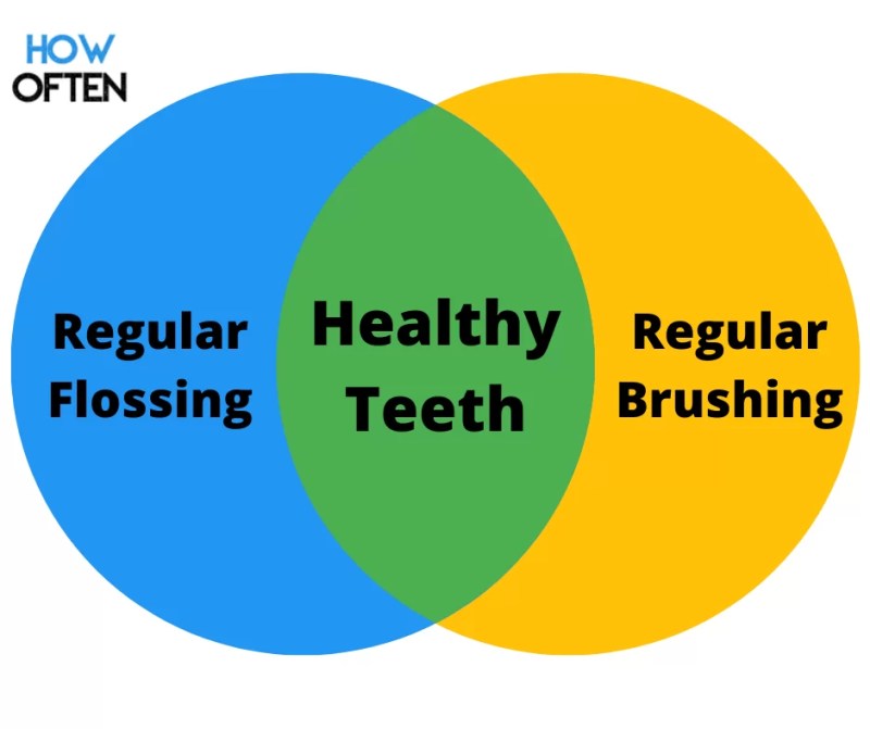 How Often Should You Floss Your Teeth? Dentist Advice Explained