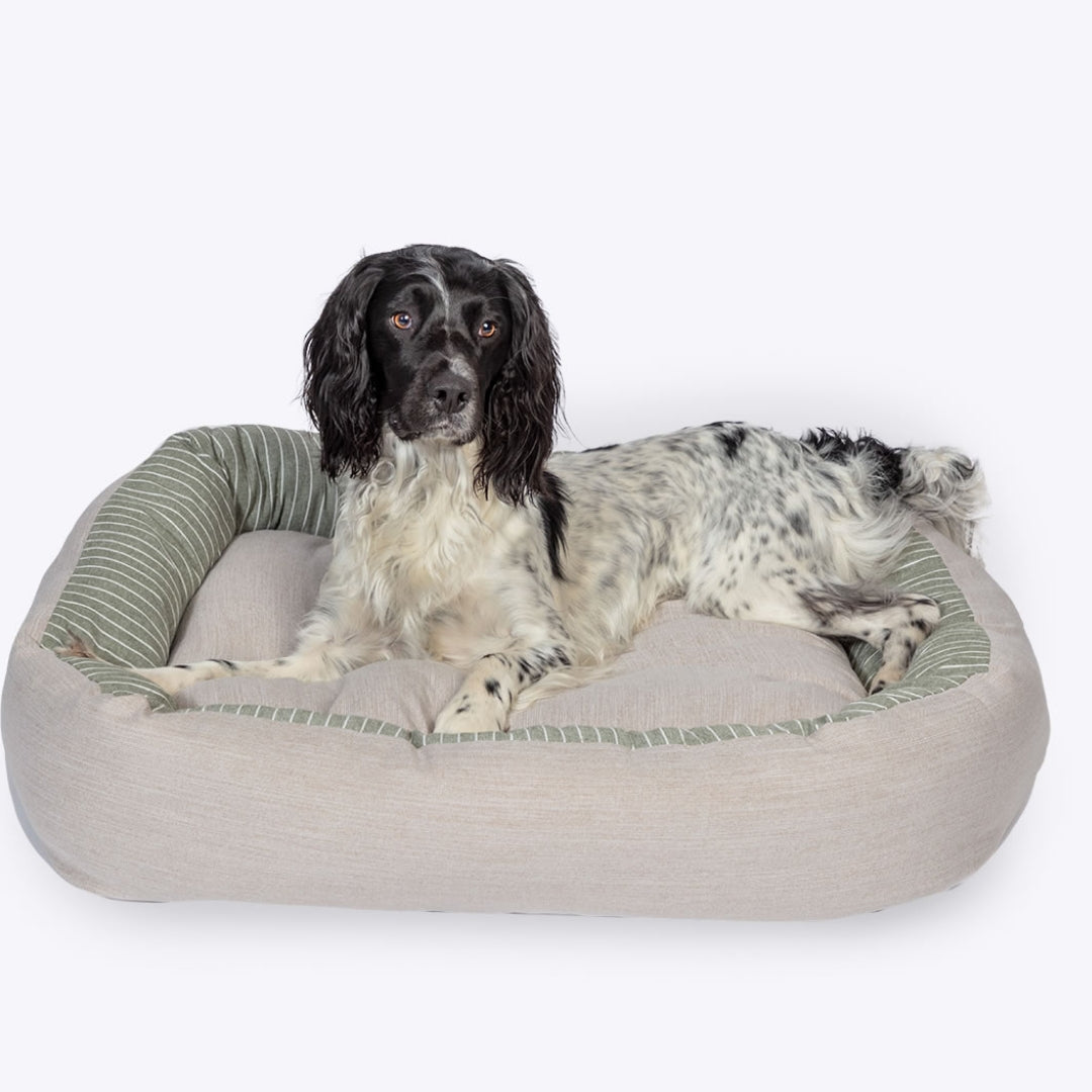 Snuggle Beds for Dogs: Benefits Sizes and Top Picks