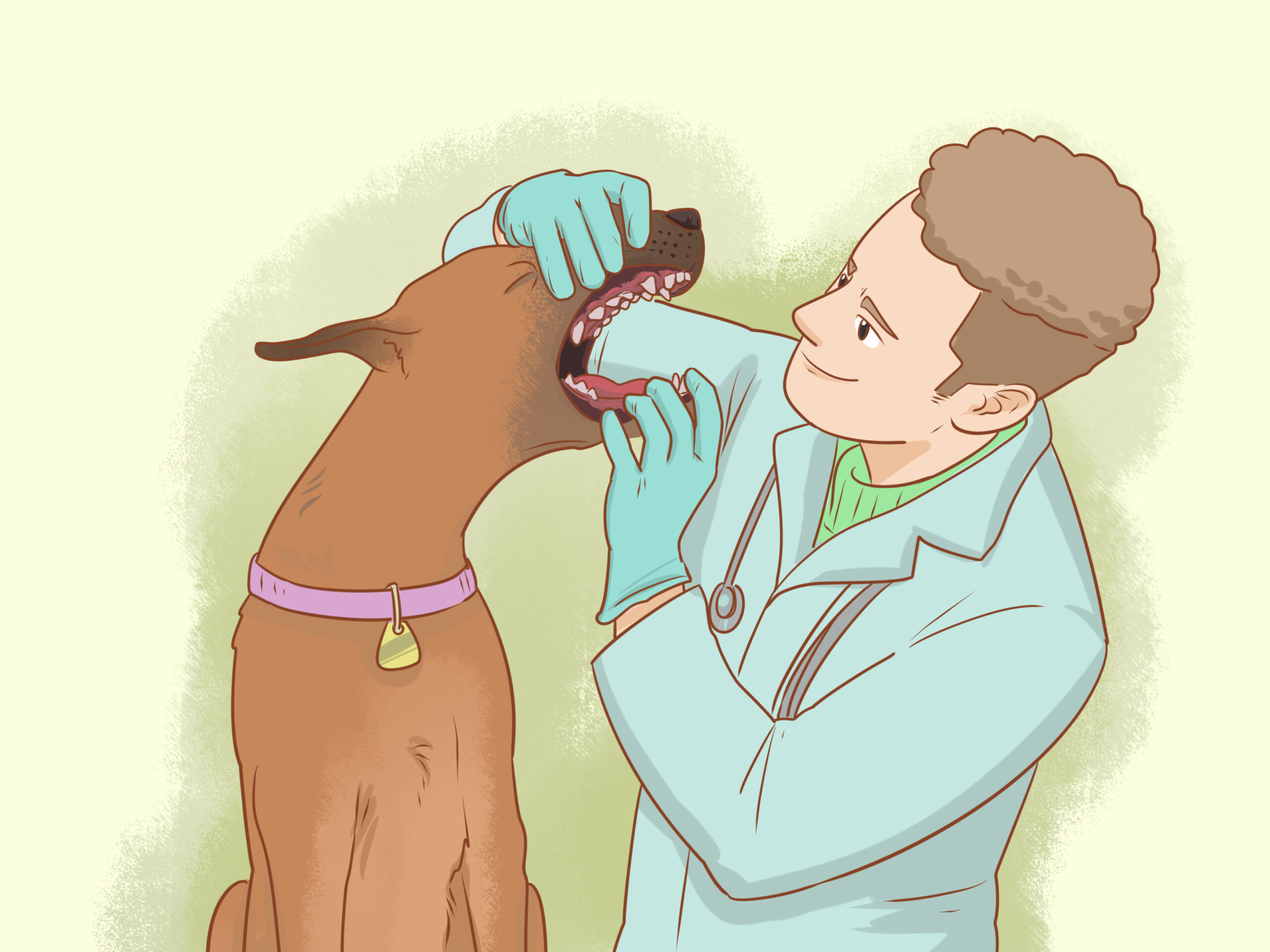 How to Soften Dog Tartar: Safe Home Remedies and Vet Tips