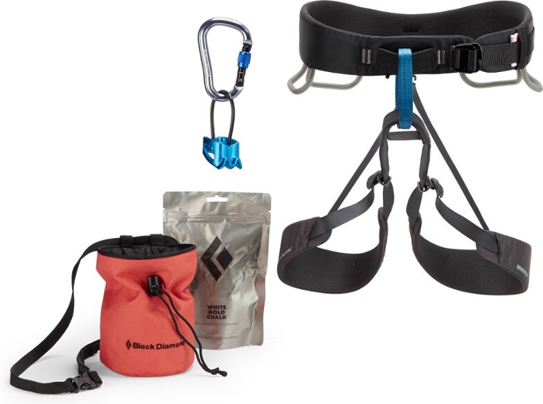 Best Presents for a Puppy: Toys Training Gear and Starter Kits