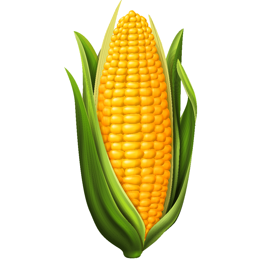 Is Corn Fed Chicken Better? Taste Test Truth and Nutrition Facts!