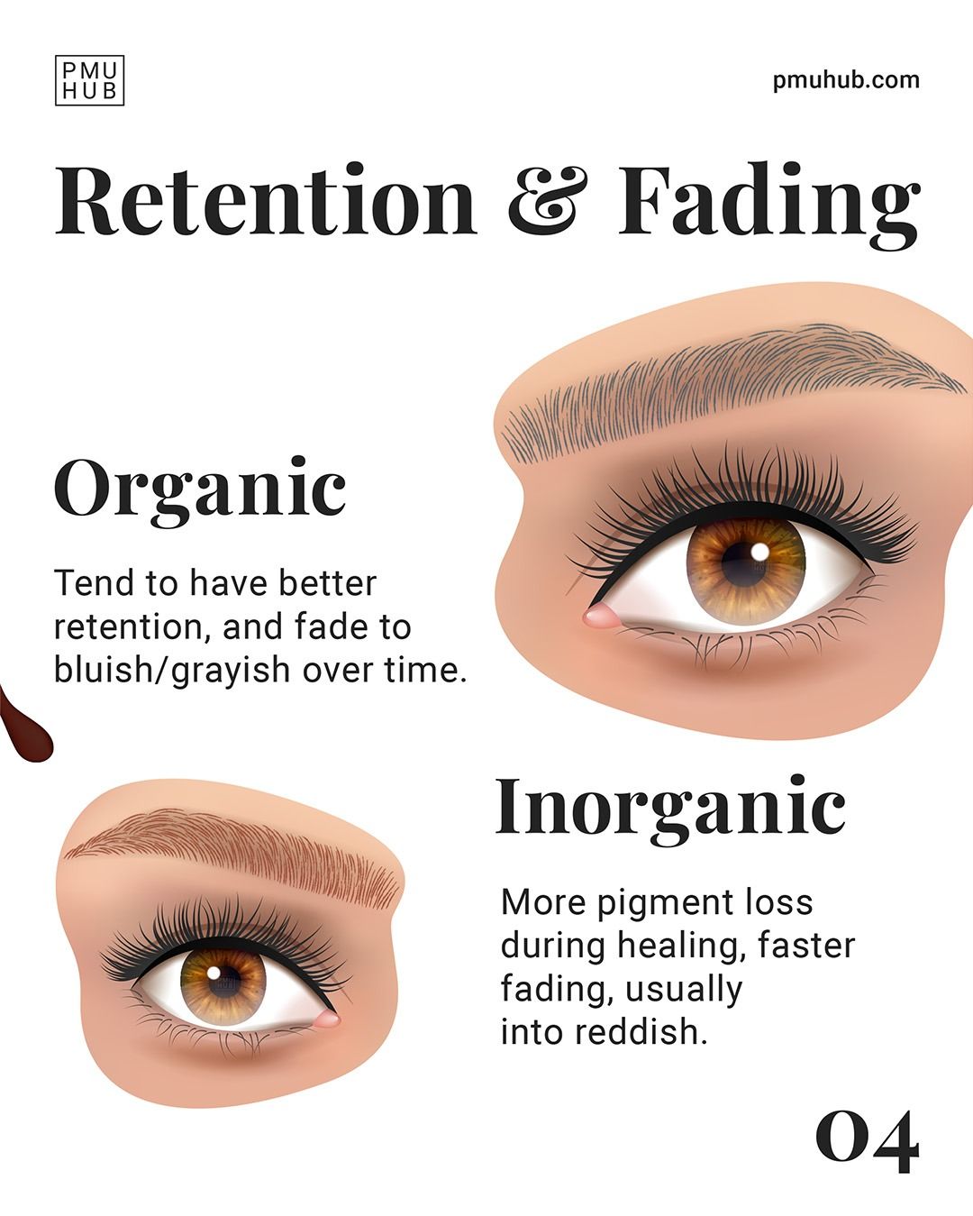 Brow Tattoo vs Microblading: Differences Cost and Longevity Compared