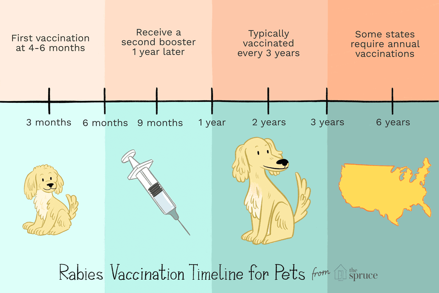 Rabies Vaccine: How Long Does It Last and When to Boost?