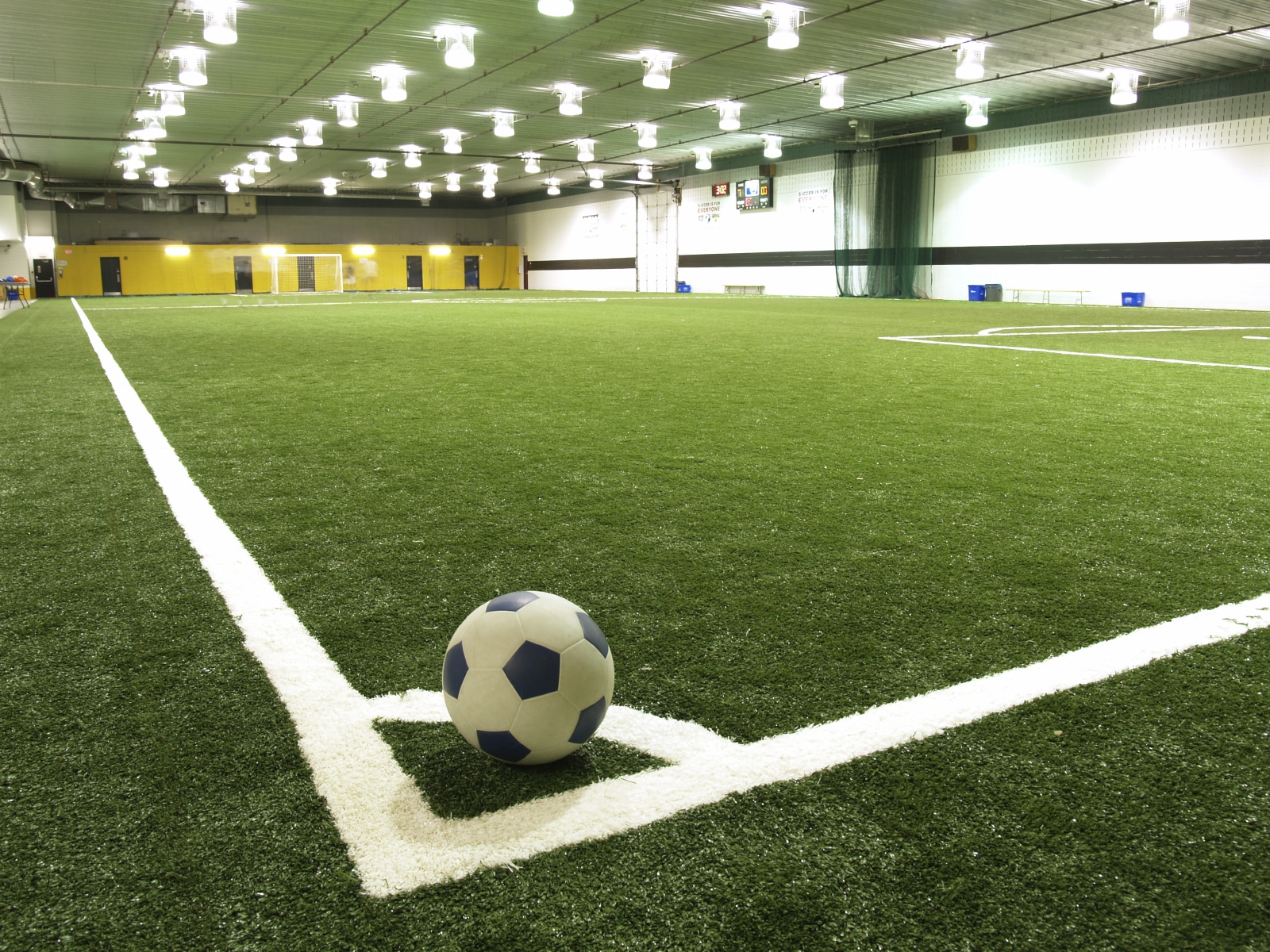 Artificial Grass as Carpet: Indoor Turf Trends You Need to Try