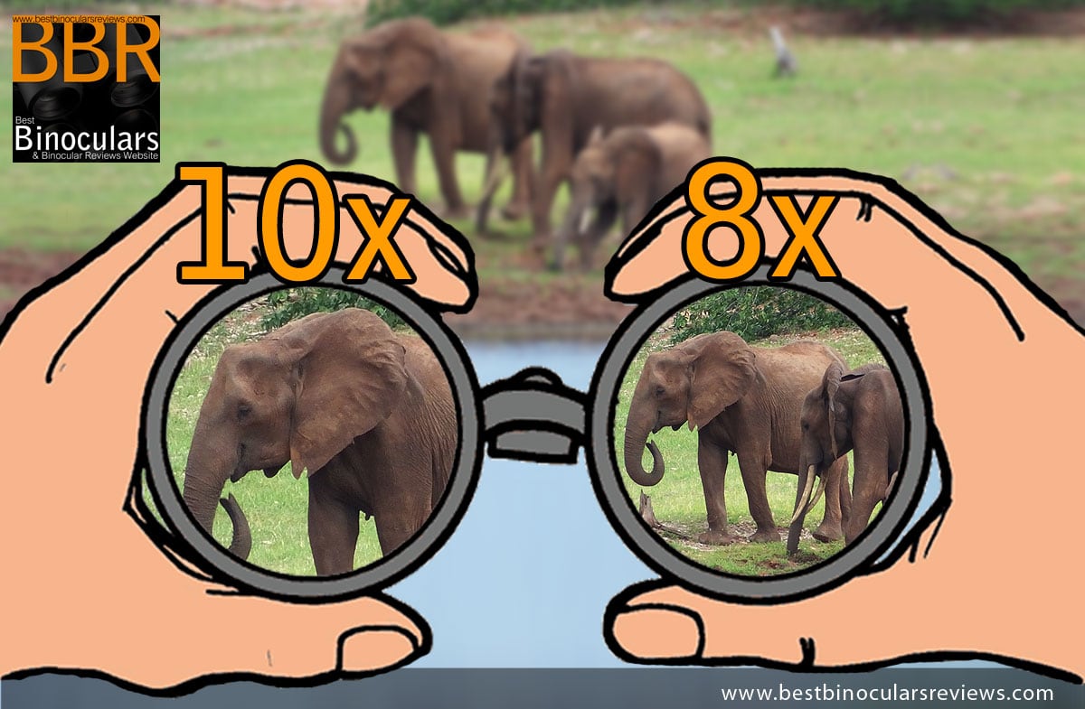 10×50 Binoculars Explained: Magnification Uses and Best Picks