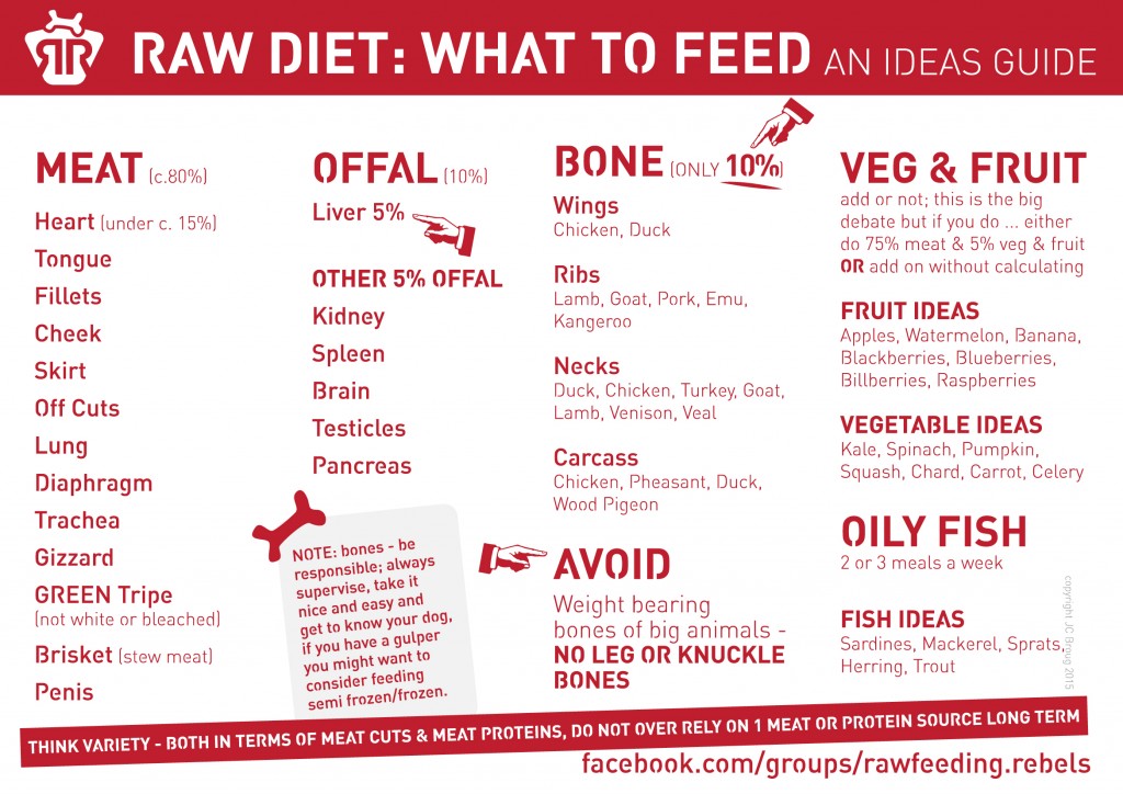 Cow Ears for Dogs: Benefits Safety and Feeding Guide